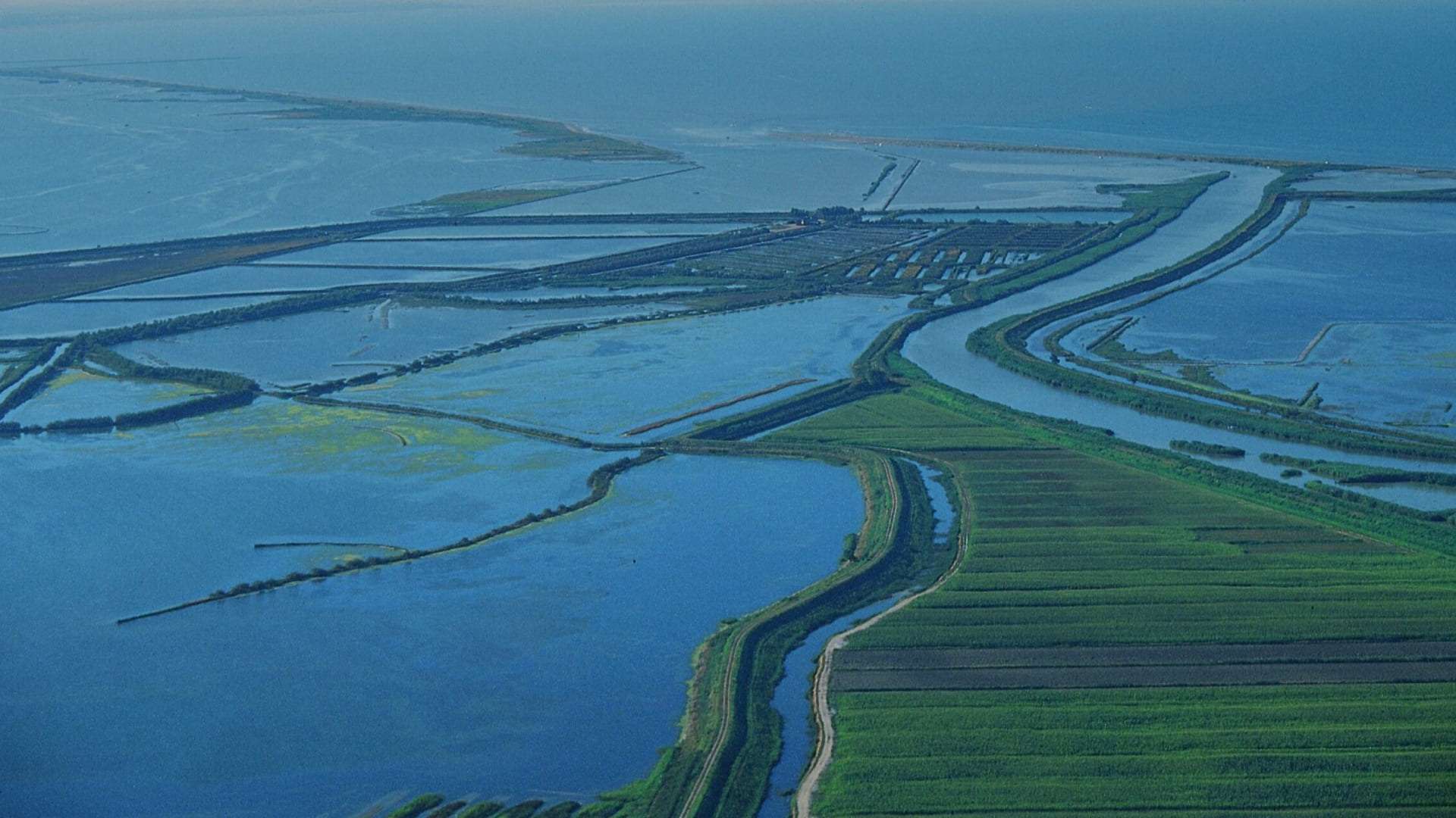 L'ambiente del Delta del Po